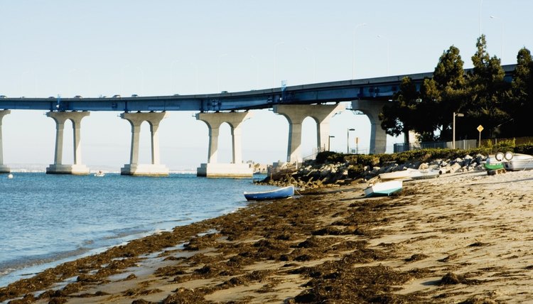 San Diego has beautiful year-round weather to enjoy while studying.