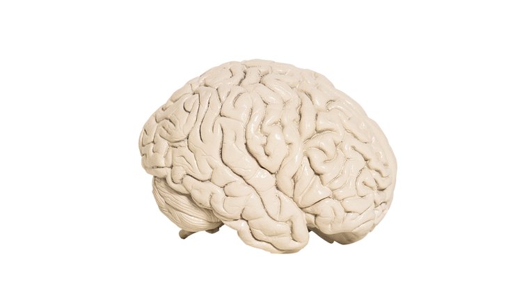 A handful of American universities have excellent psychology and philosophy departments.