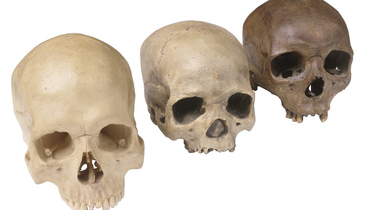 Evolution and religion clash over questions about the origin of life.