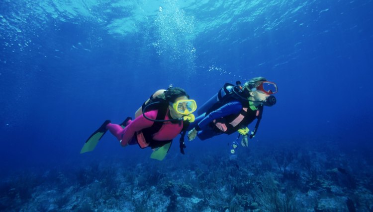 Scuba divers over shallow reefs , Caribbean
