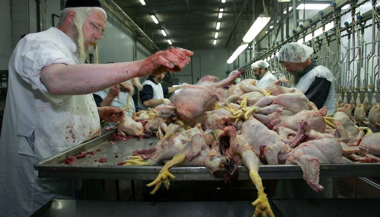 Meat must be carefully butchered in Islam and Judaism.