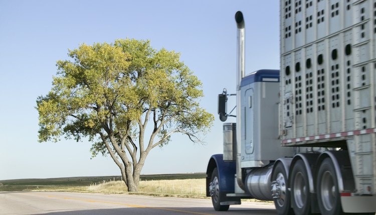 what-is-the-average-pay-for-a-bull-hauler-career-trend