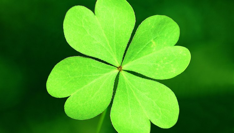lucky