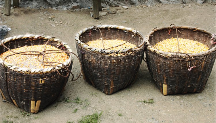 Baskets of corn