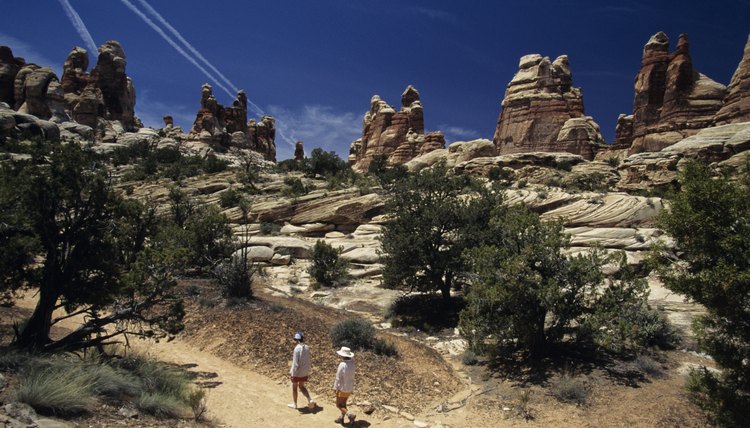 Two people hiking on trail  in rocky desert area, elevated view