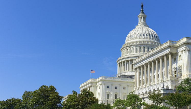 The US Capitol Buliding