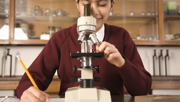 The light microscope is just one of the microscopes used in microbiology.
