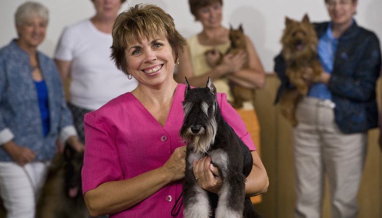 DailyPuppy article image