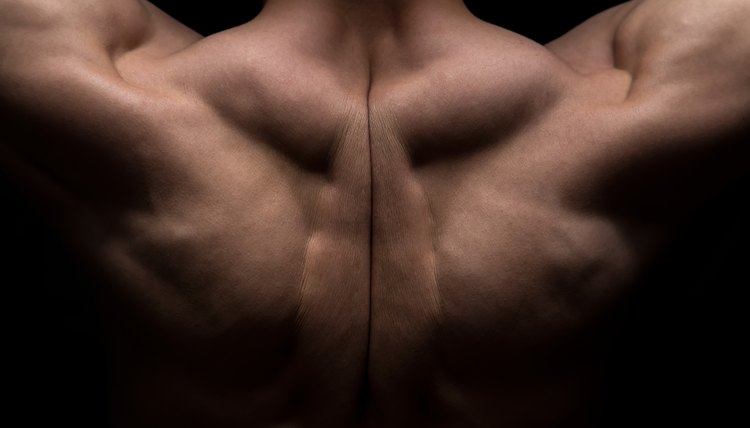 Muscles Involved in Barbell Shrugs