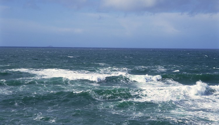 Salt water makes up 96 percent of all water covering the Earth's surface.