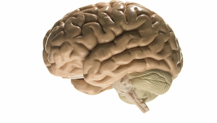 The GRE and IQ tests both measure elements of intelligence.