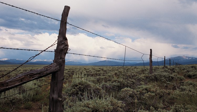 A close-up of a barbed wire fence around open land in the west.