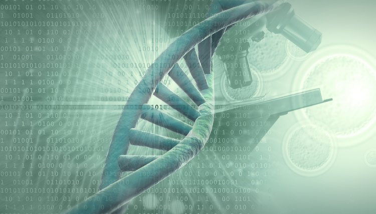 DNA is often thought of as the