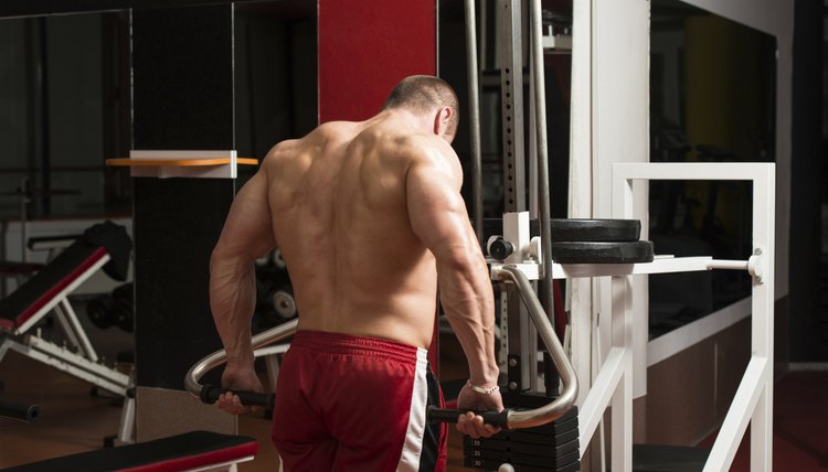 Young Bodybuilder Doing Heavy Weight Exercise For Trapezius