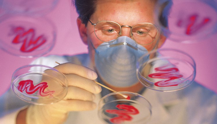 Microbiology is just one example of a biological science.