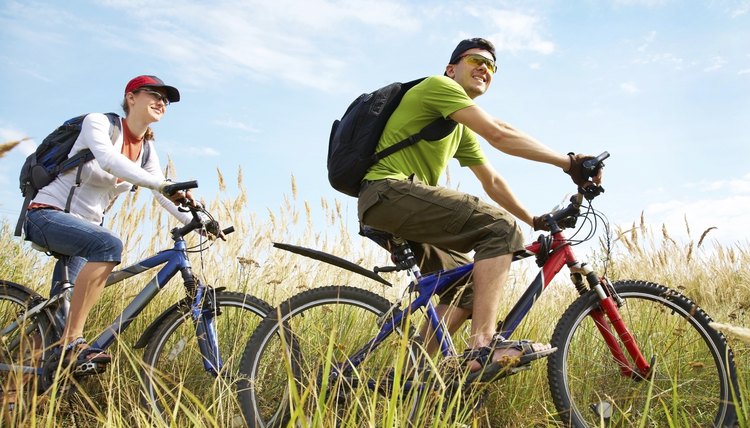 Schwinn Vs. Huffy