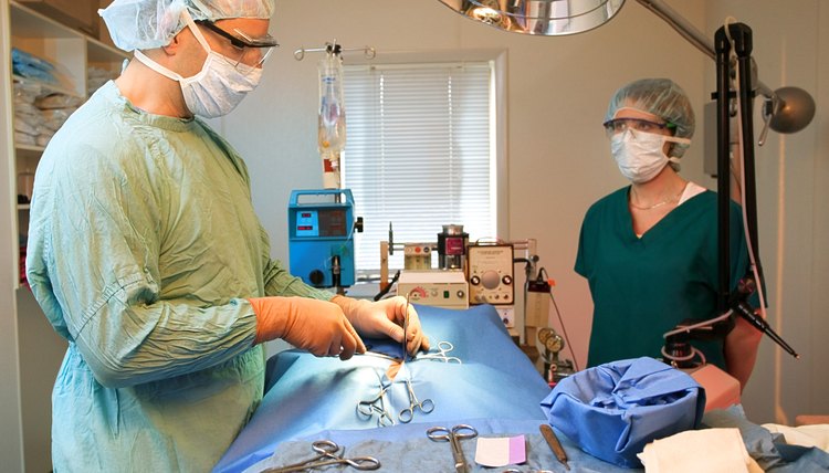 Vet and vet tech performing surgery