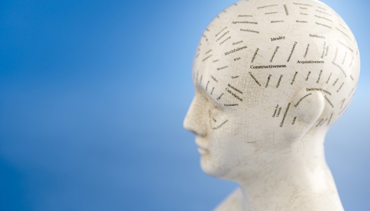 Psychology can help you gain a better understanding of the human brain.