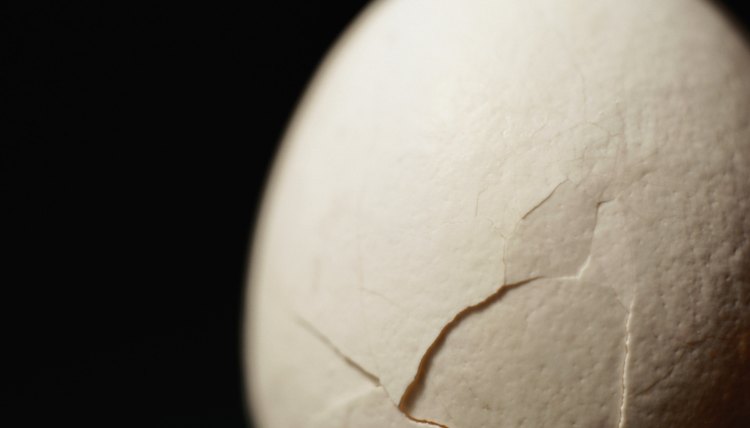 Keep the egg from cracking by creating a cushioned drop project.