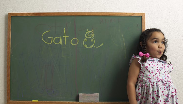 Migrants may have to learn a new language.