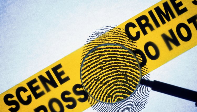 Students in Florida can learn the basics of crime scene investigation by pursuing a degree in forensic science.