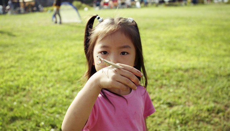 Take time to observe, explore and experiment with your preschooler.