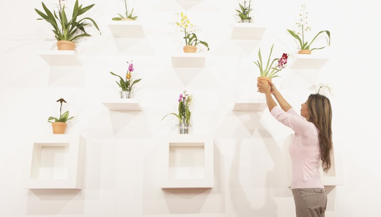 Creative wall display