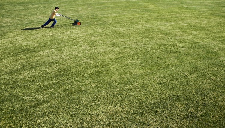 Boy Mowing Grass