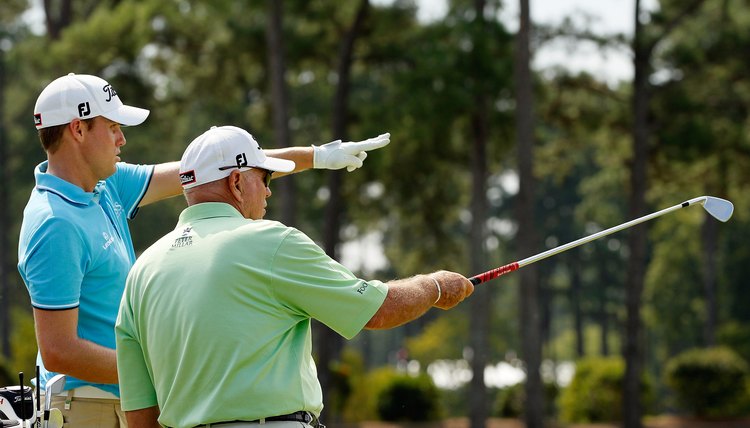 Swing coach Butch Harmon (right, with Nick Watney), was once a pro golfer, but is now a golf pro.