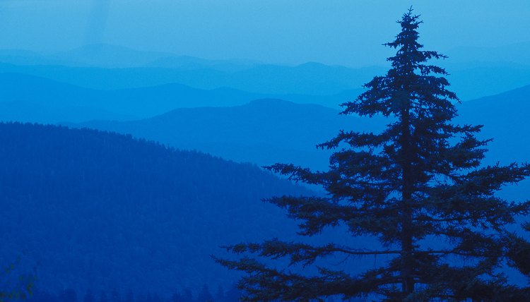 Western North Carolina is beautiful, and fortunately some colleges make it easy to find education here.