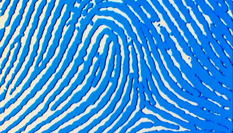 Help your young child to explore the science of fingerprints.