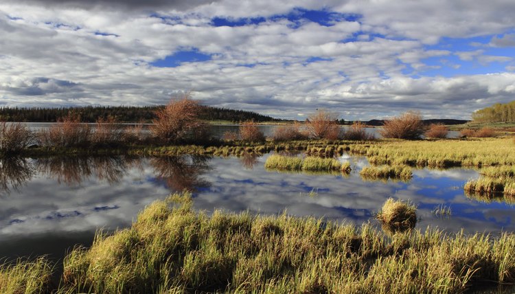National Forest Lake, Laramie, WY.