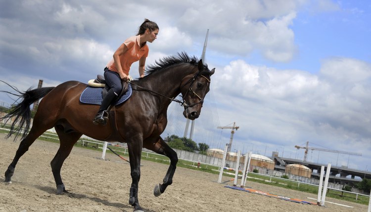 Fitness & Exercises for a Horse Rider