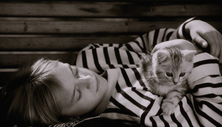 Make your cat's end-of-life decisions now to give yourself emotional space later.