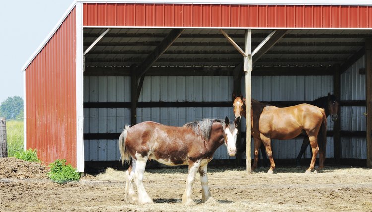 How To Build A Horse Shelter Animals Momme