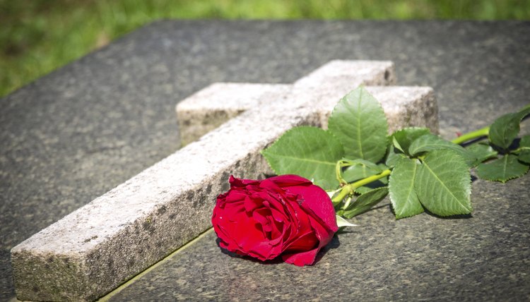 Red rose at cemetery