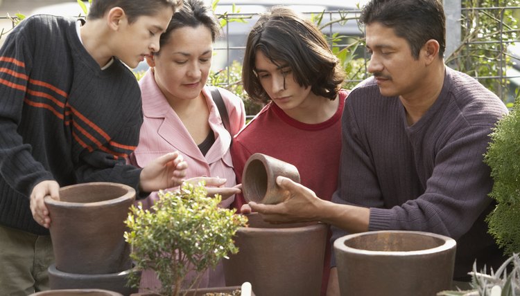 Group of people looking at flower pots in a plant nursery