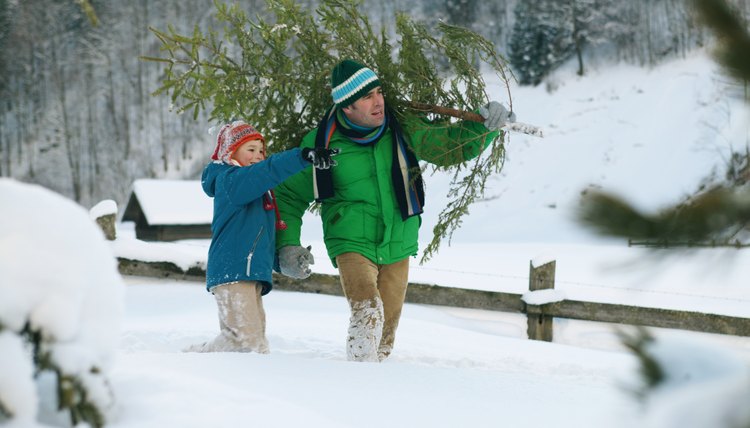 Man carrying Christmas tree whilst holding son's (8-10) hand, boy pointing