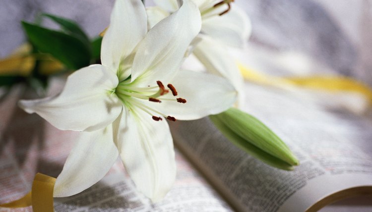 Lent is a period of renewal and preparation for the coming Easter holiday.