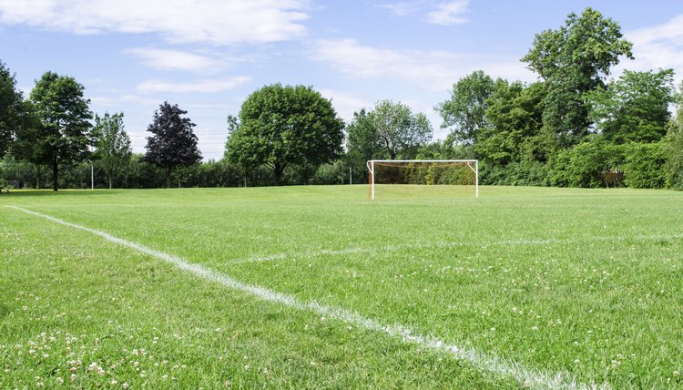 Sunny Soccer Field