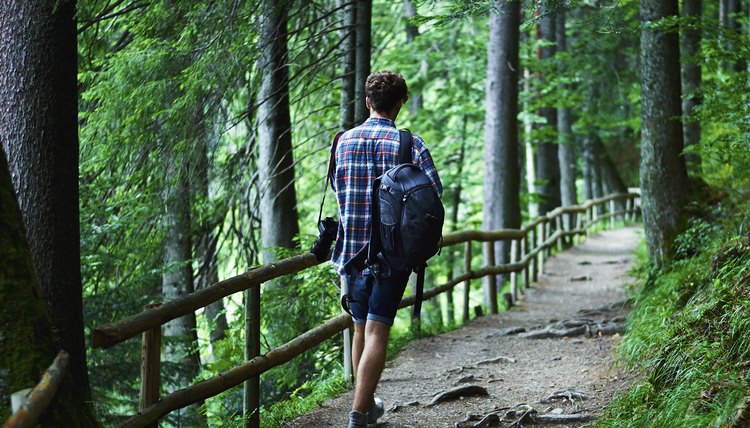 Distance Walking for Weight Loss