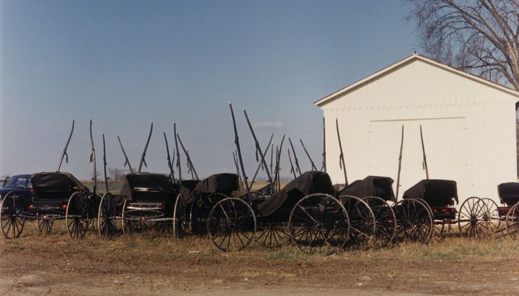 The agrarian Amish lifestyle promotes natural remedies.
