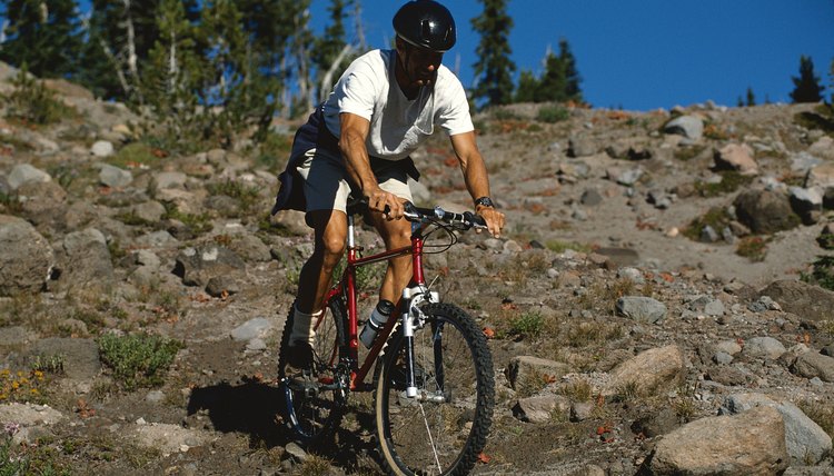 Hybrid bike 2024 on mountain trail