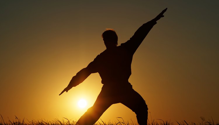 List of Kung Fu Fighting Styles