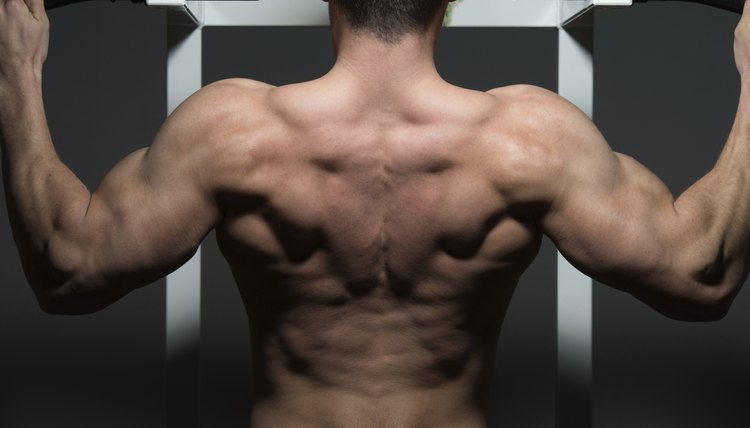 young male bodybuilder doing heavy weight exercise