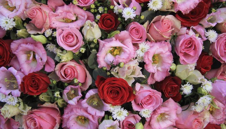 Assortment of pink and red flowers