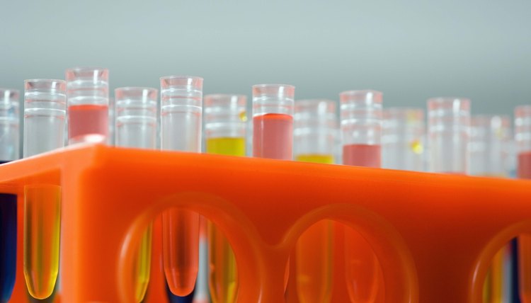 Biology labs offer hands-on experience.