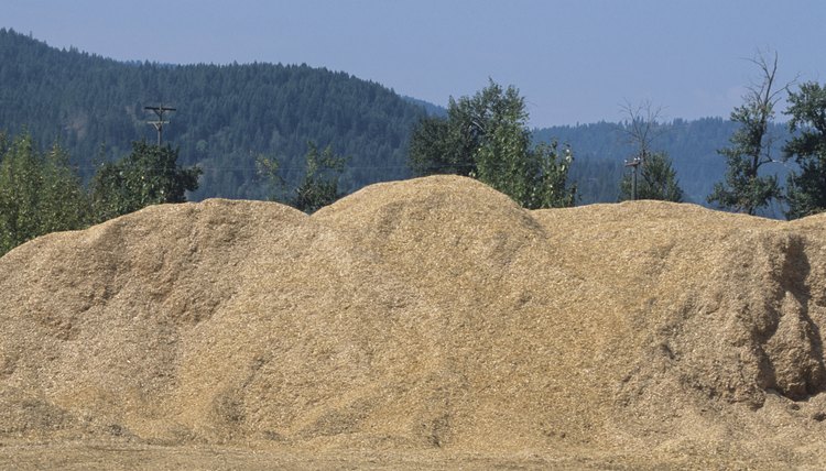 Sawdust