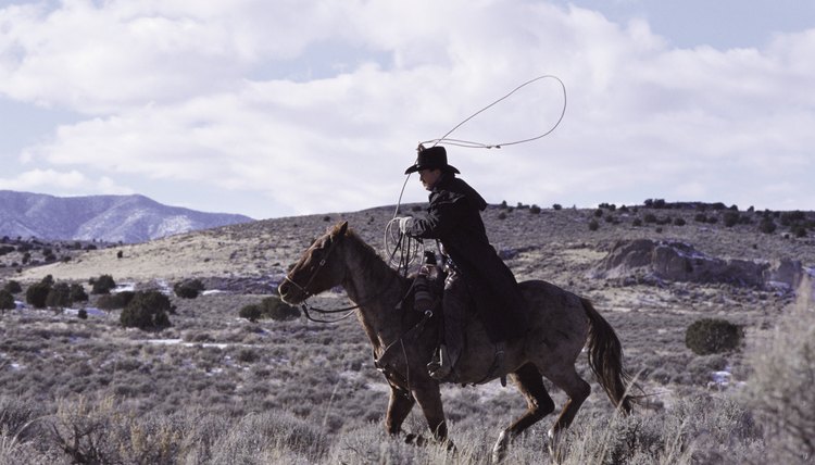 Cowboy riding his horse with lasso in hand.