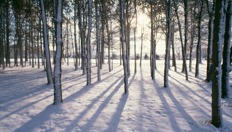 Get artistic with your toddler on a chilly winter day.
